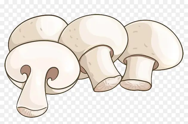 白色手绘双孢蘑菇