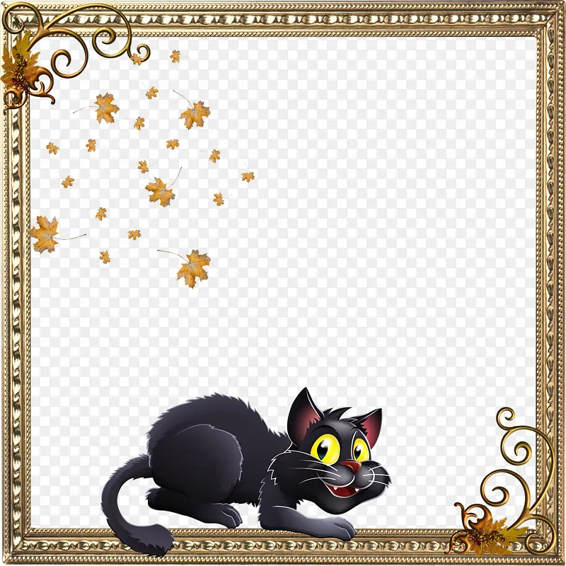 边框里的猫