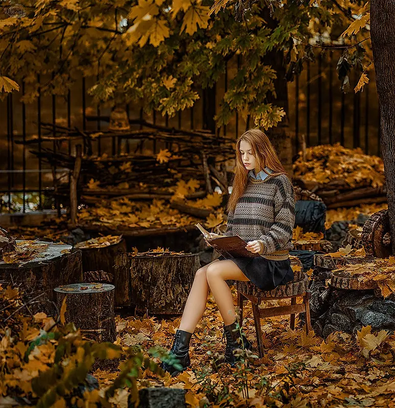 秋天室外场景女学生读书高清摄影
