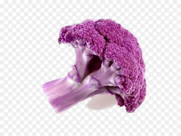 紫色的菜花素材图片