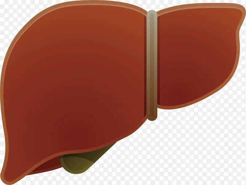 动物的肝脏器官卡通