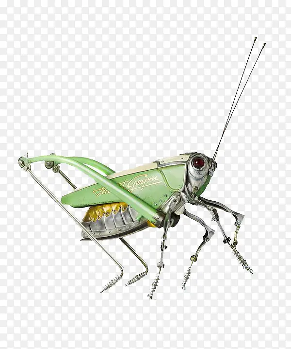 绿色机械昆虫