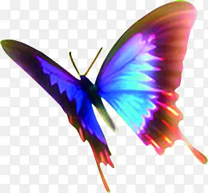 彩色光效翅膀蝴蝶
