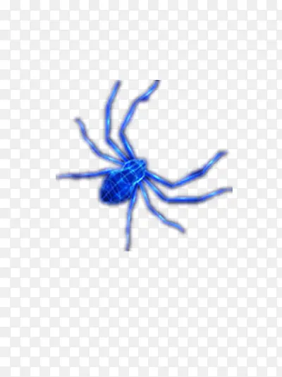 蓝色蜘蛛矢量图