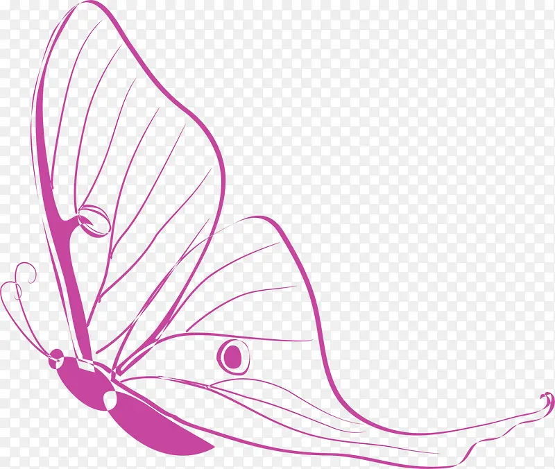紫色线条蝴蝶