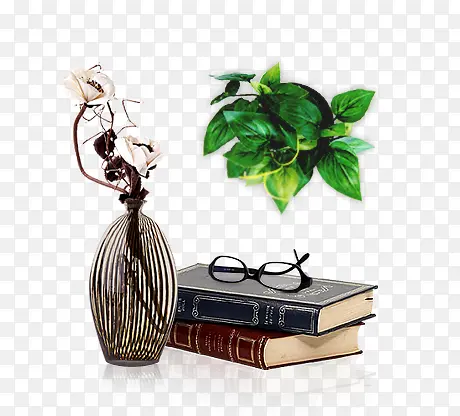 花瓶 绿色植物 书本 眼镜