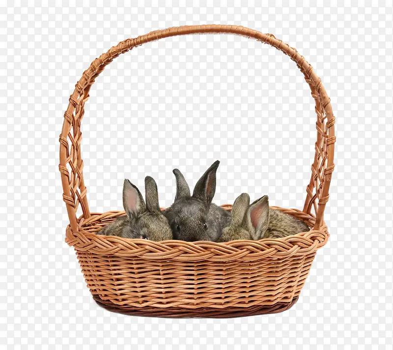 一篮子灰色兔子