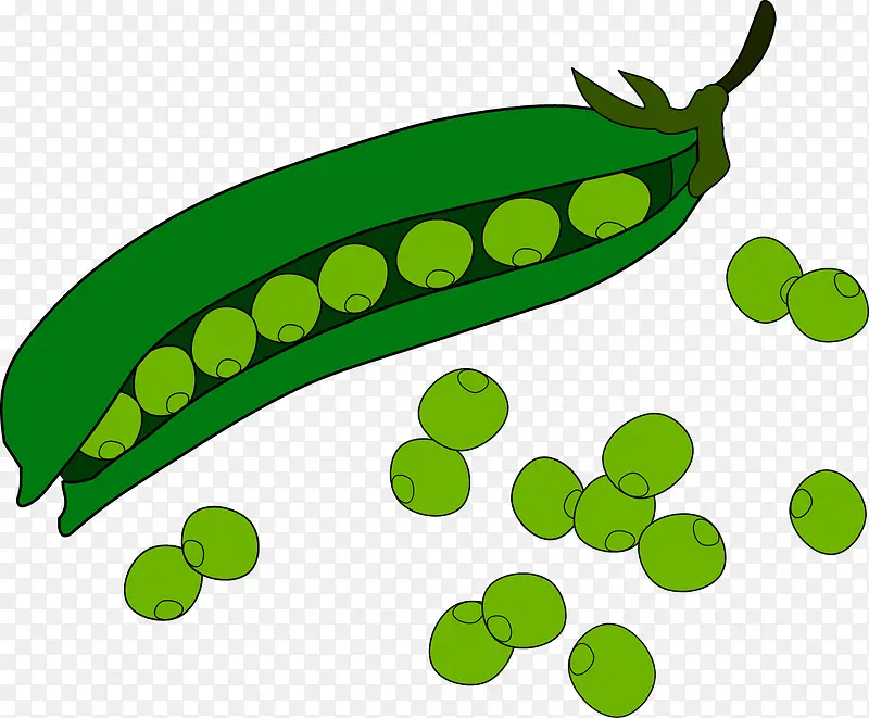 矢量豌豆