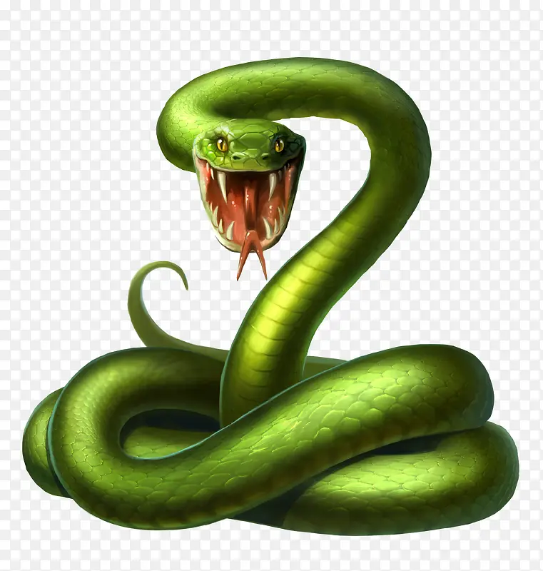 毒物青蛇
