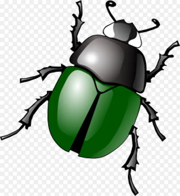 绿色3D甲壳虫