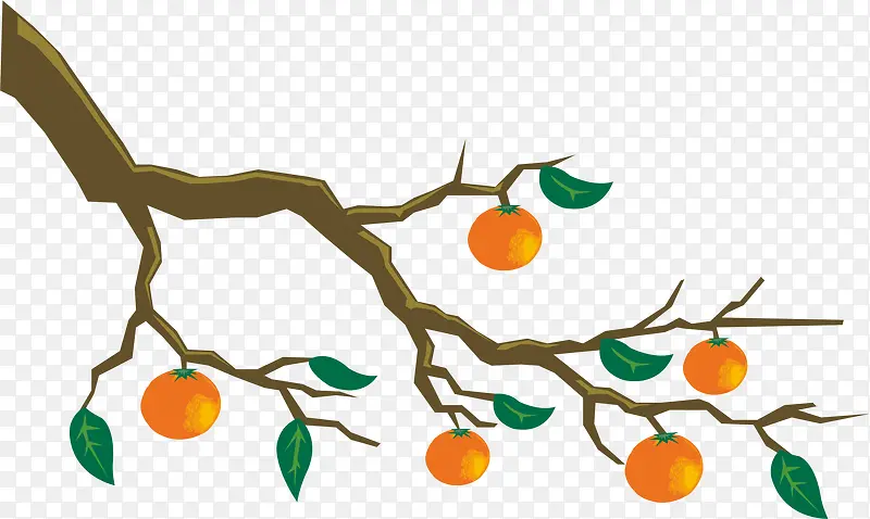 橙子树枝