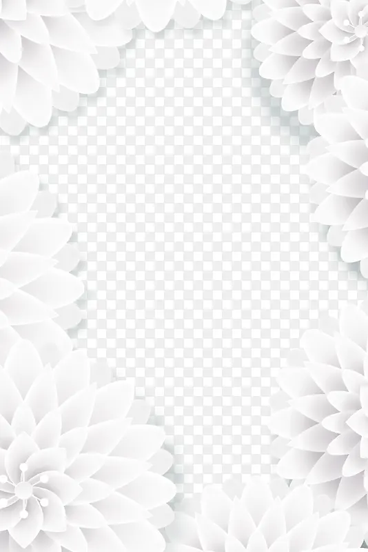 白色美丽花朵框架