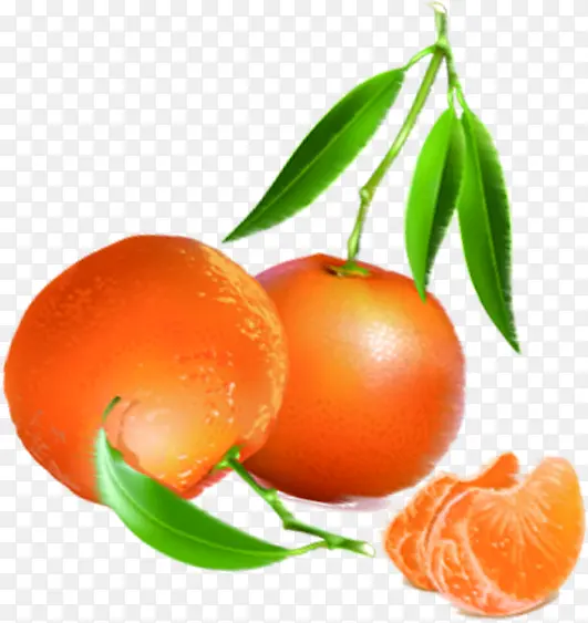 橙子水果树枝风光