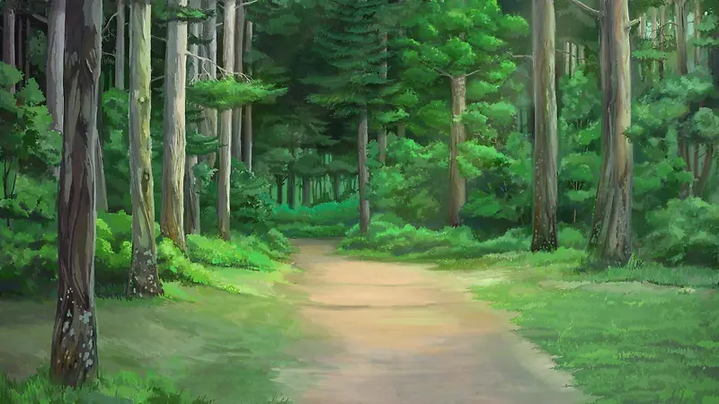 森林绿叶树干道路高清素材