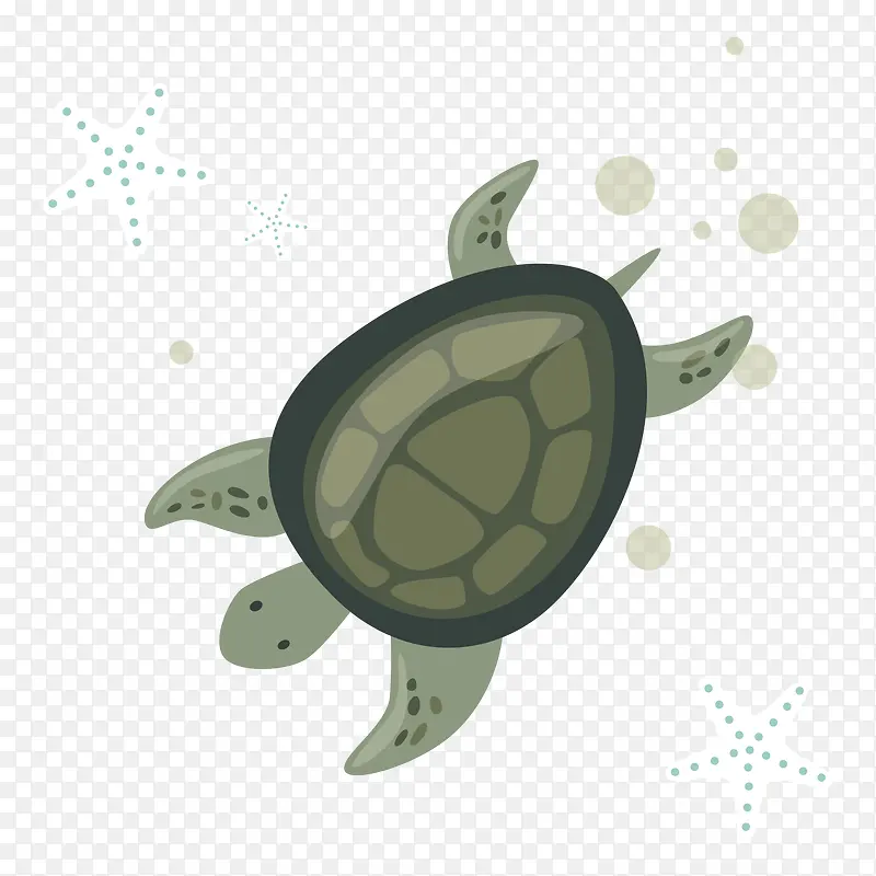 世界海洋日卡通海龟