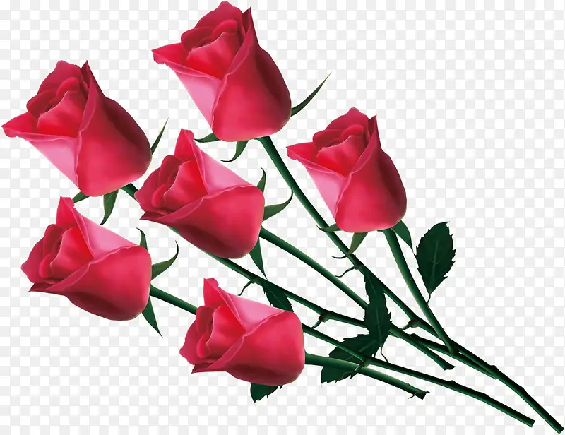 浪漫带刺玫瑰花