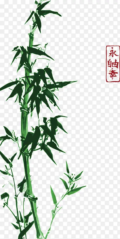 墨绿色的竹子