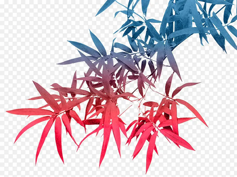 渐变彩色竹叶PNG图片素材下载_图片编号qelwdrzy-免抠素材网