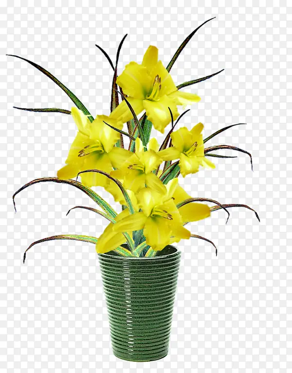 一盆黄花