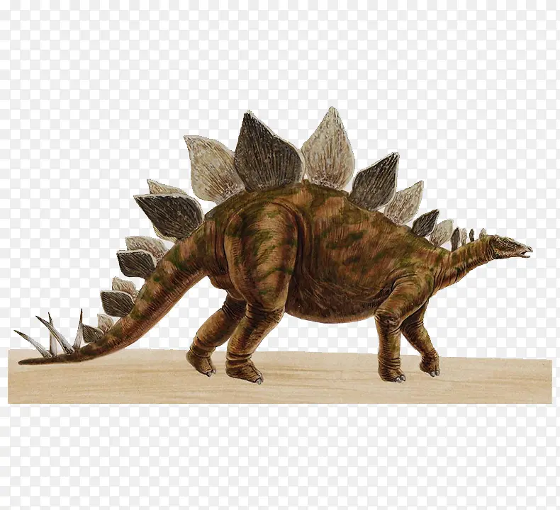 脊背菱形刺的恐龙
