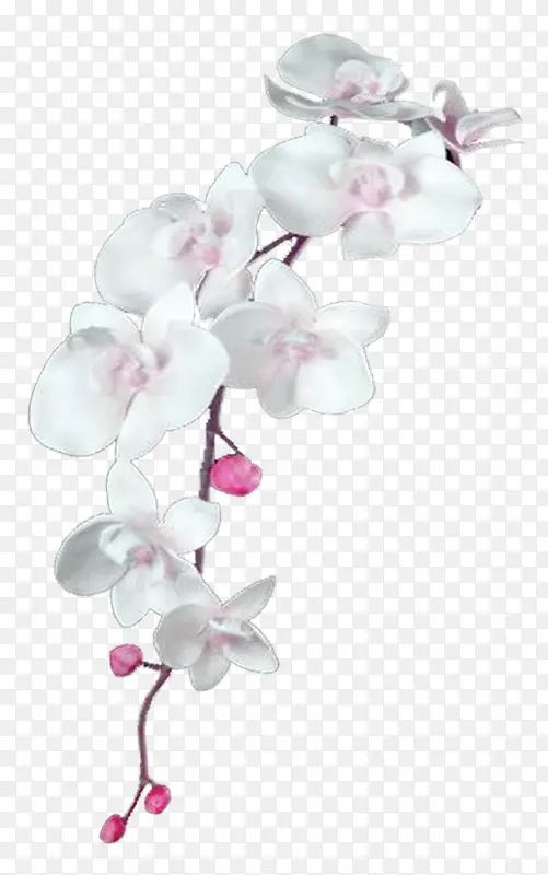 白色清新花藤装饰图案