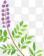 手绘绿色树叶紫色铃兰