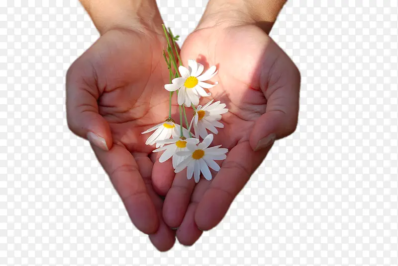 手心里的小白花