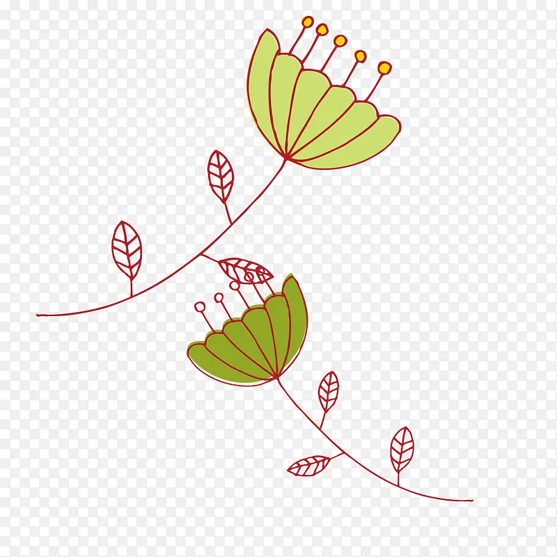 单枝手绘简单的雏菊