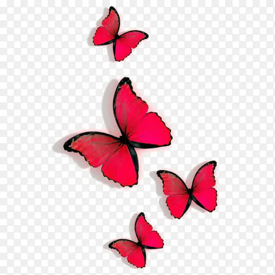 红色蝴蝶装饰
