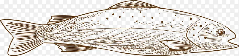 海洋生物素描棕色小鱼