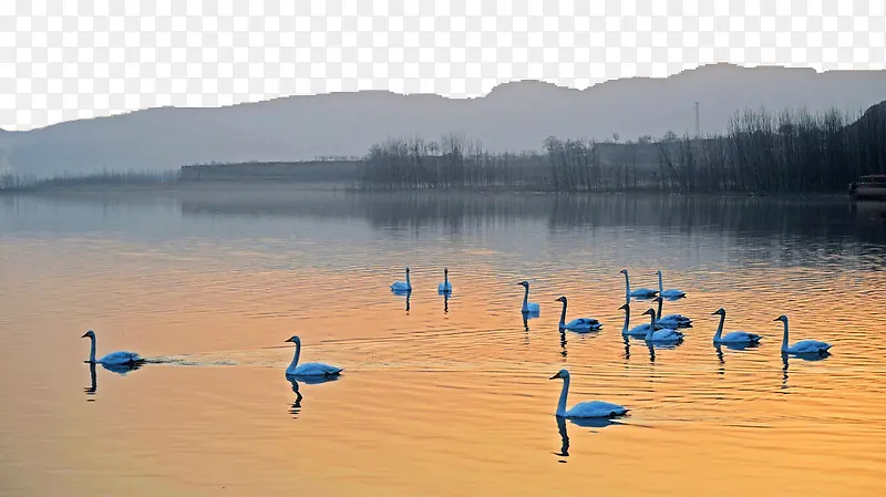 著名景区天鹅湖