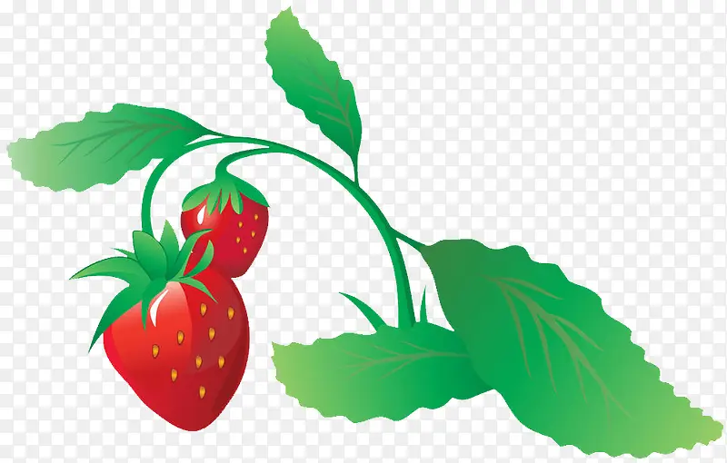 矢量草莓果实与叶子