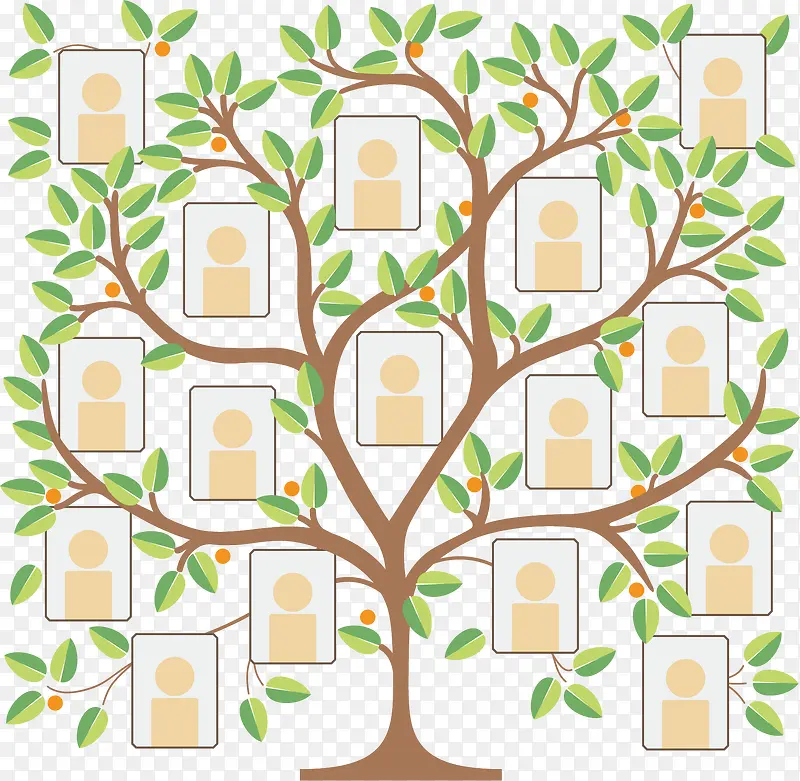 挂满相框的绿色大树