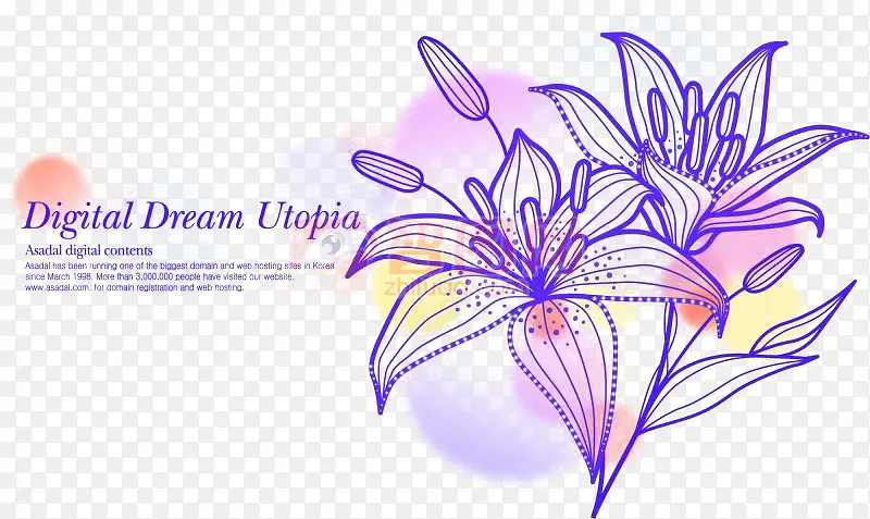 紫色百合花海报封面
