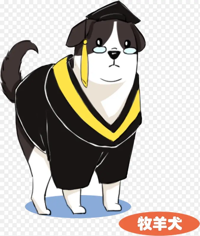 穿博士服的牧羊犬