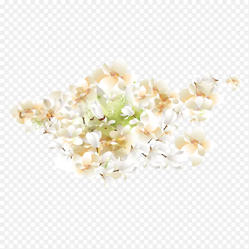 矢量白色花卉装饰