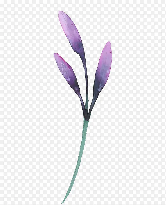 紫色水彩小花枝