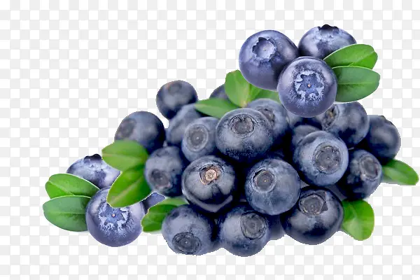实物新鲜采摘蓝莓