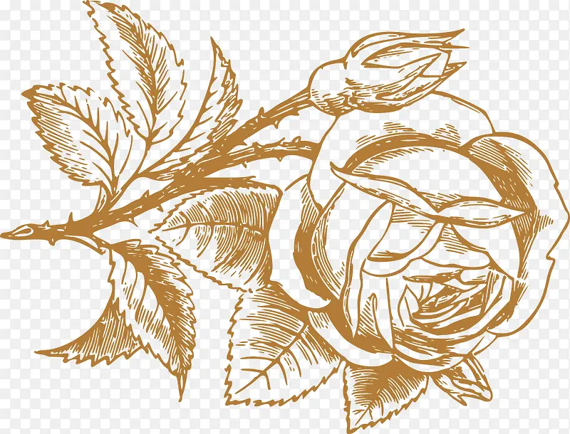 彩绘玫瑰花
