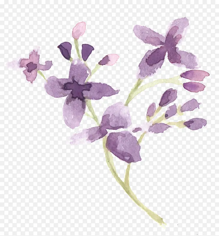 紫色小花花枝