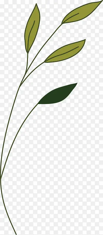 淡雅花枝