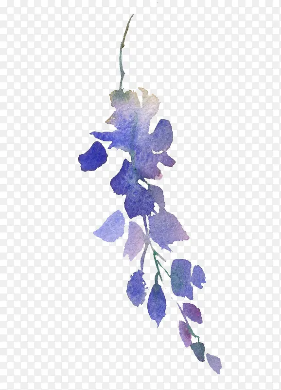 紫色的植物