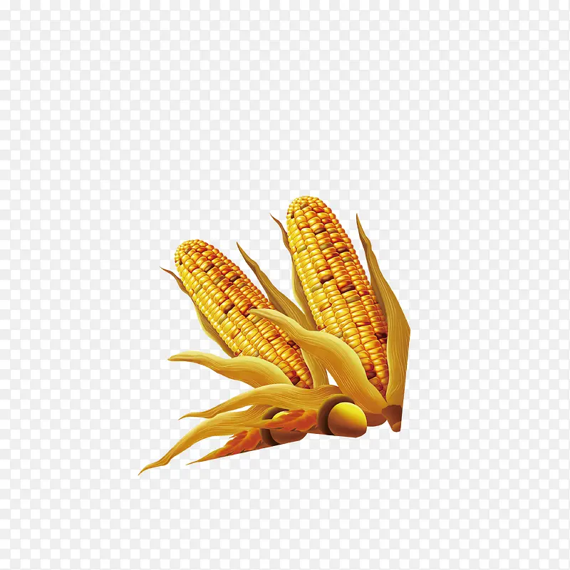 金色玉米