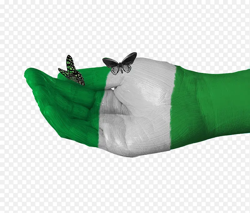 创意尼日利亚国旗手绘蝴蝶图案