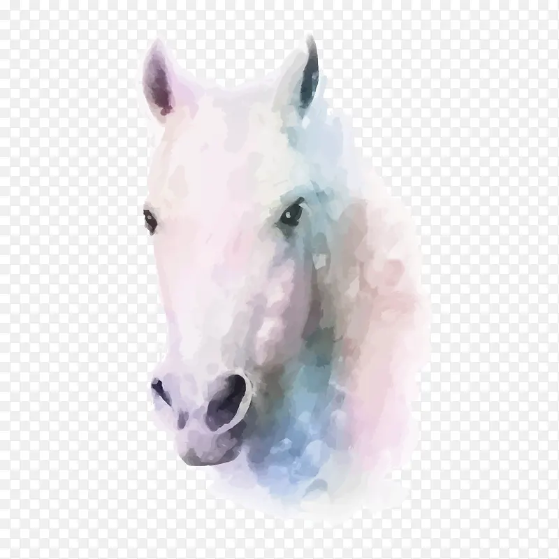 水彩彩绘马