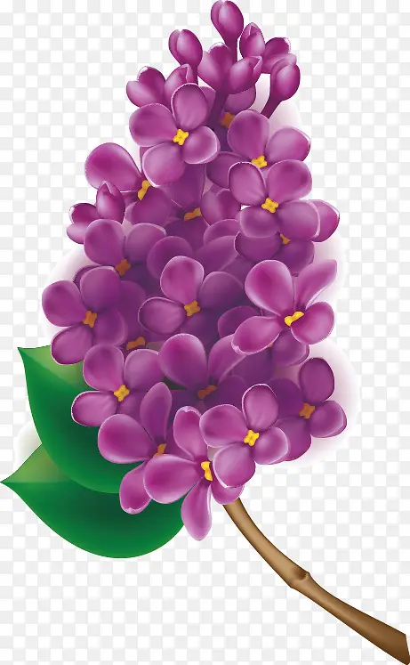 紫色花矢量图