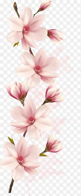 矢量一枝粉色玉兰花
