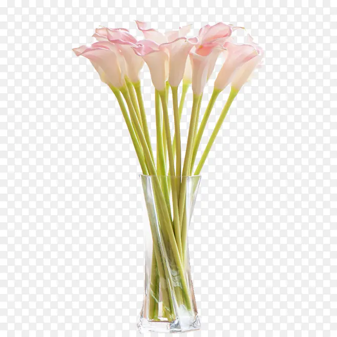 花瓶 花卉