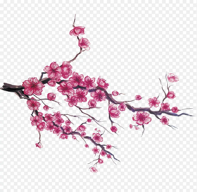 手绘日本樱花