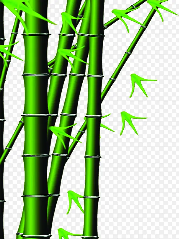 绿色的质感竹子手绘